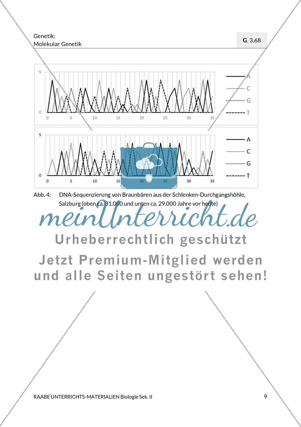 Forschungsmethoden der Paläogenetik am Beispiel des Höhlenbärs Preview 7