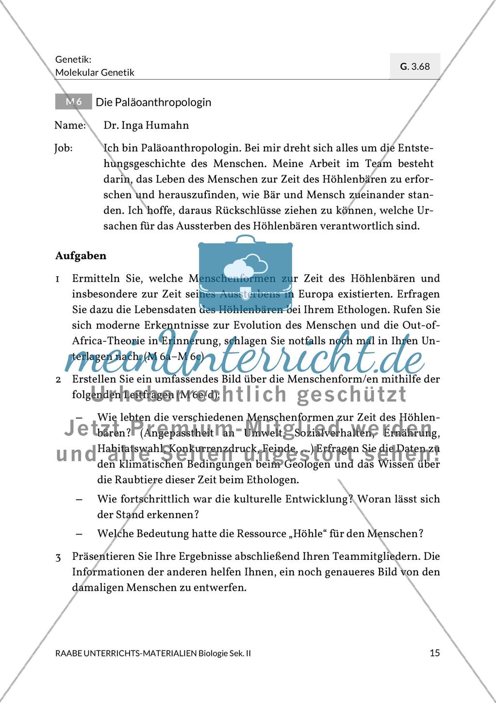 Die Menschenform zur Zeit des Höhlenbärs Preview 1