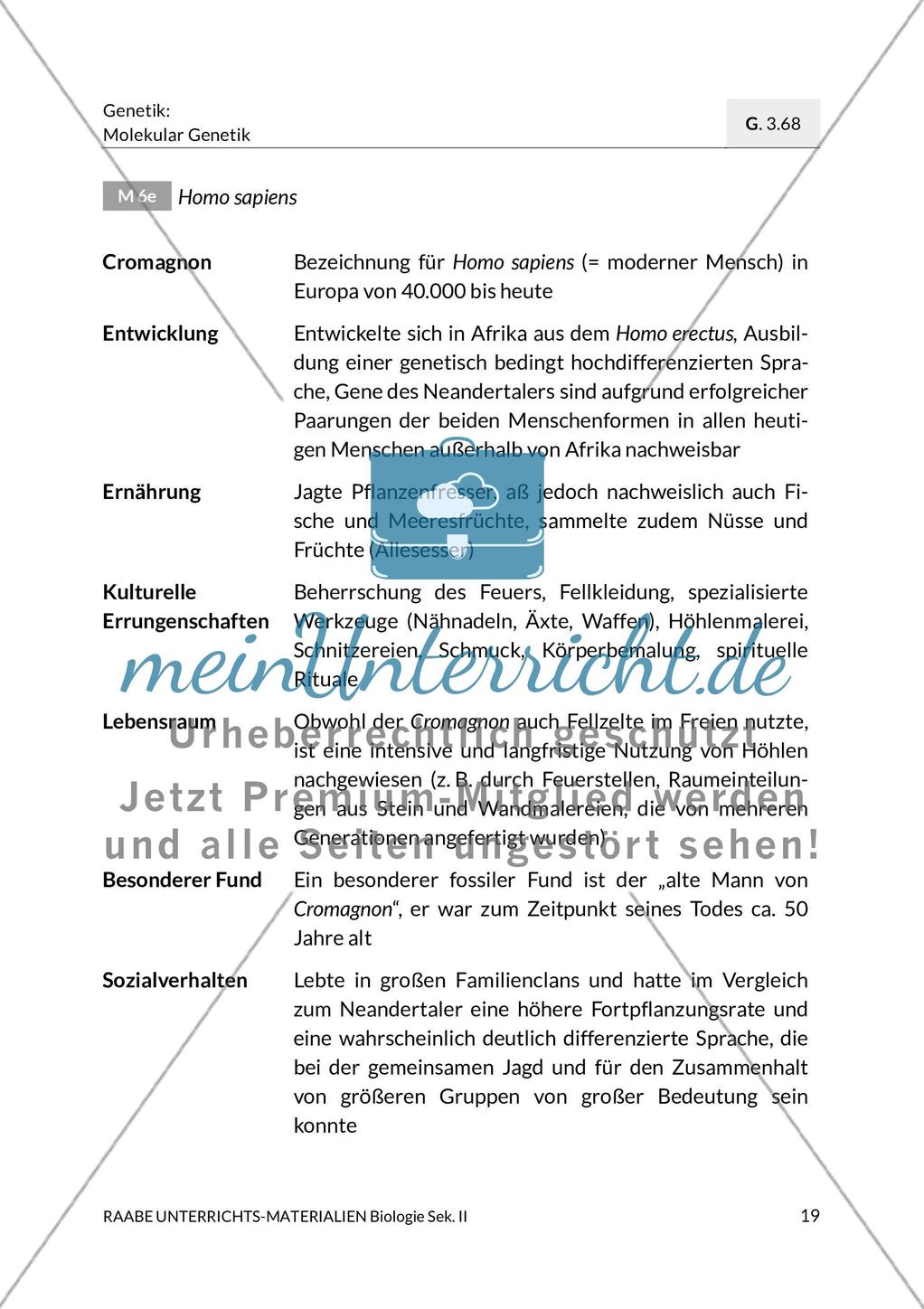 Die Menschenform zur Zeit des Höhlenbärs Preview 5
