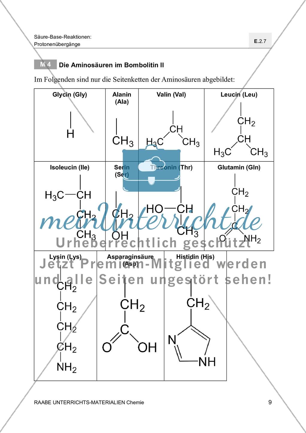 Die Chemie der Nanobionik Spinat spürt Sprengstoff auf - Mit Lösungsfolie Preview 13