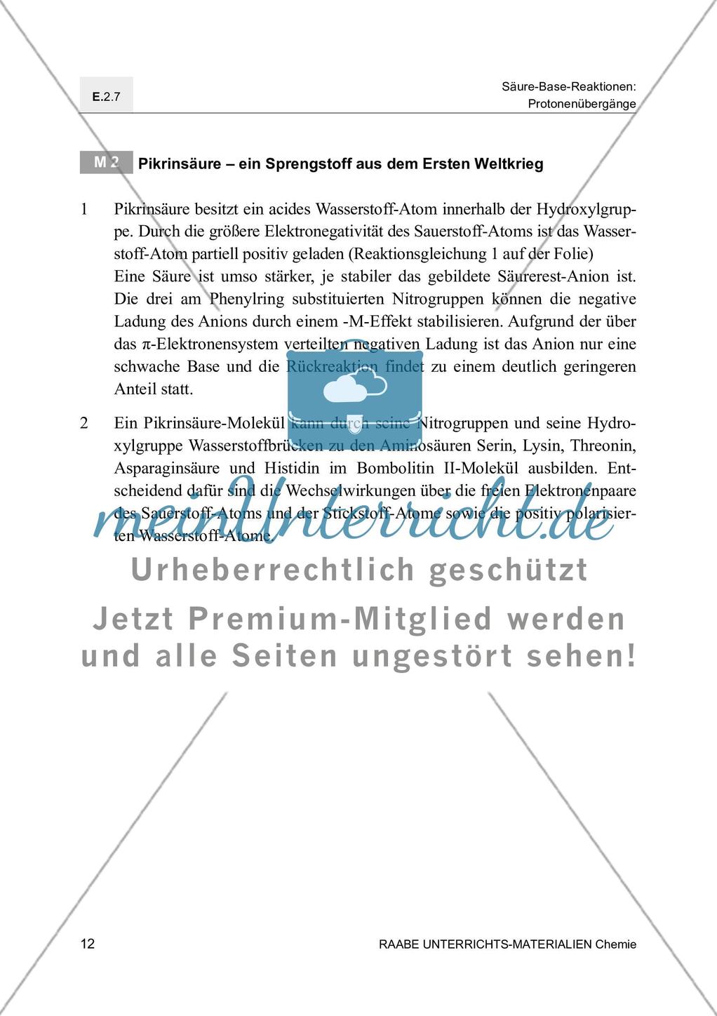 Die Chemie der Nanobionik Spinat spürt Sprengstoff auf - Mit Lösungsfolie Preview 16