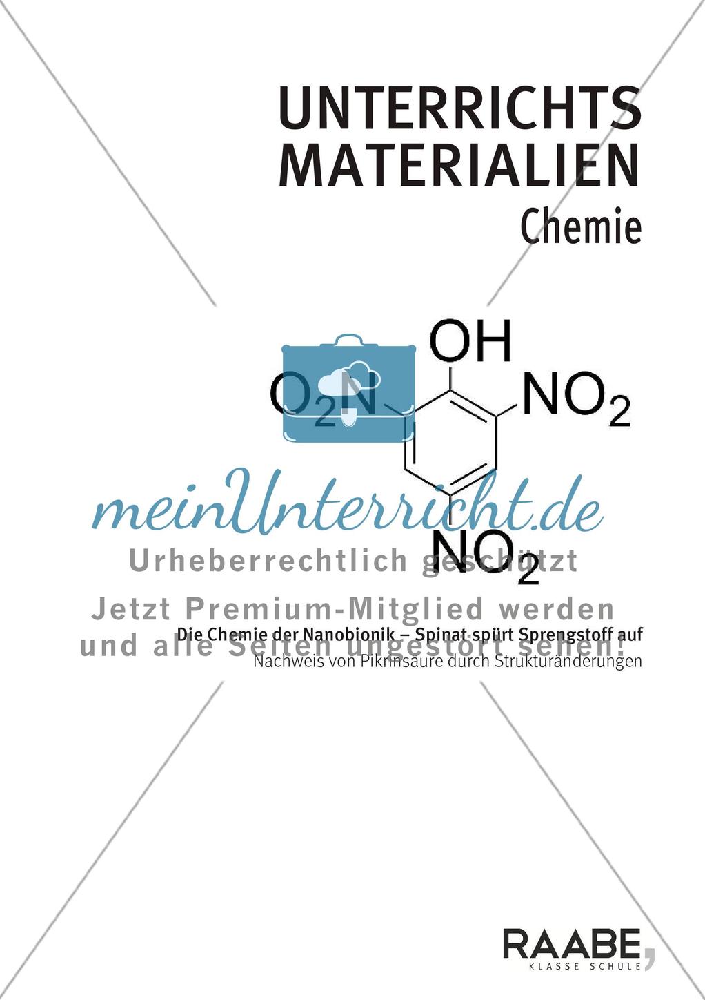 Die Chemie der Nanobionik Spinat spürt Sprengstoff auf - Mit Lösungsfolie Preview 1