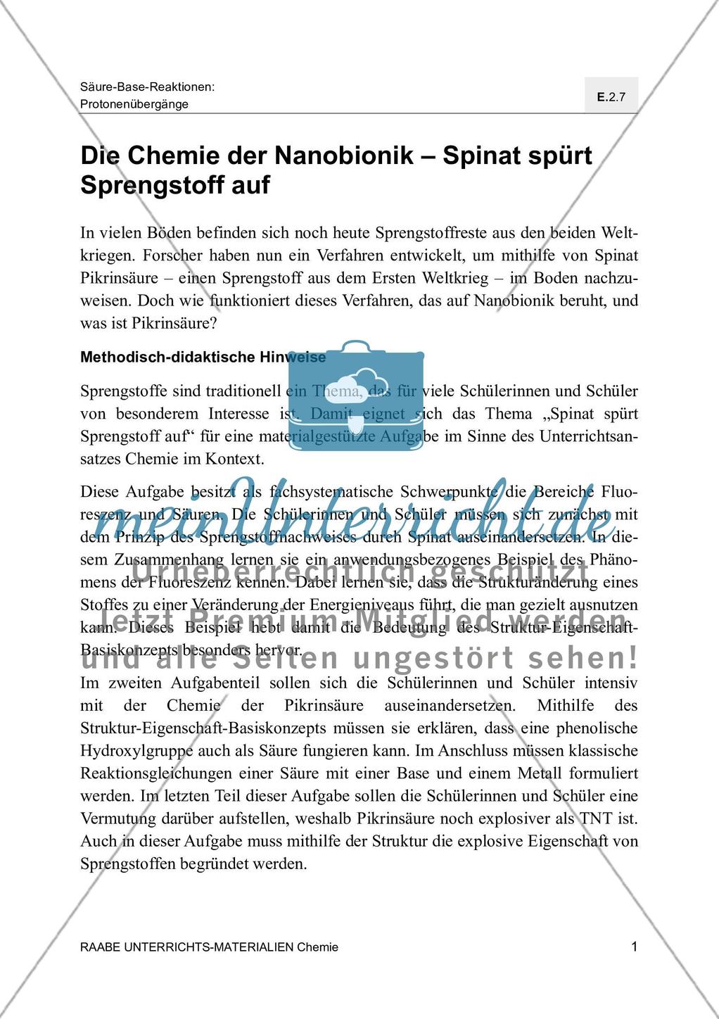Die Chemie der Nanobionik Spinat spürt Sprengstoff auf - Mit Lösungsfolie Preview 5