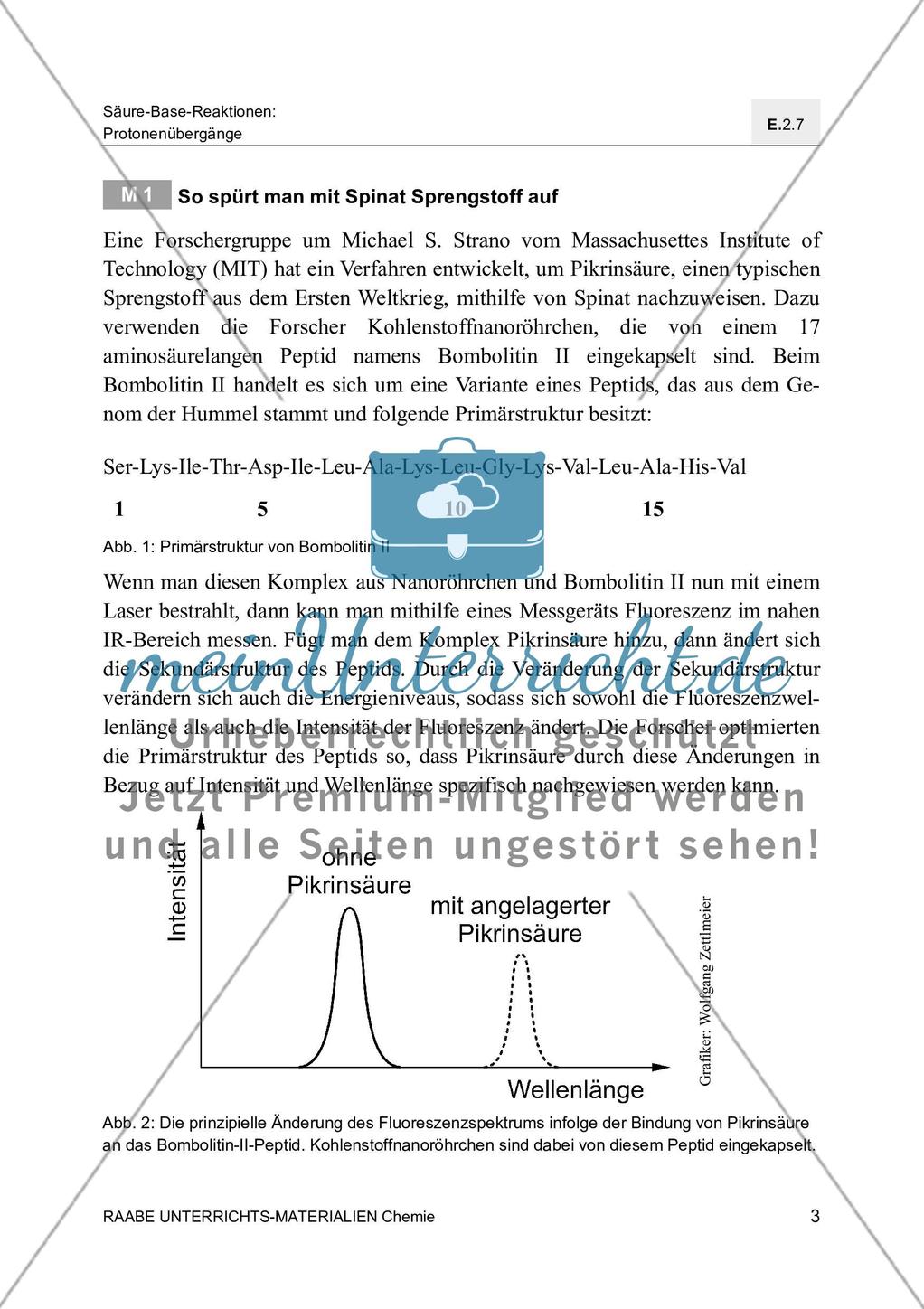 Die Chemie der Nanobionik Spinat spürt Sprengstoff auf - Mit Lösungsfolie Preview 7