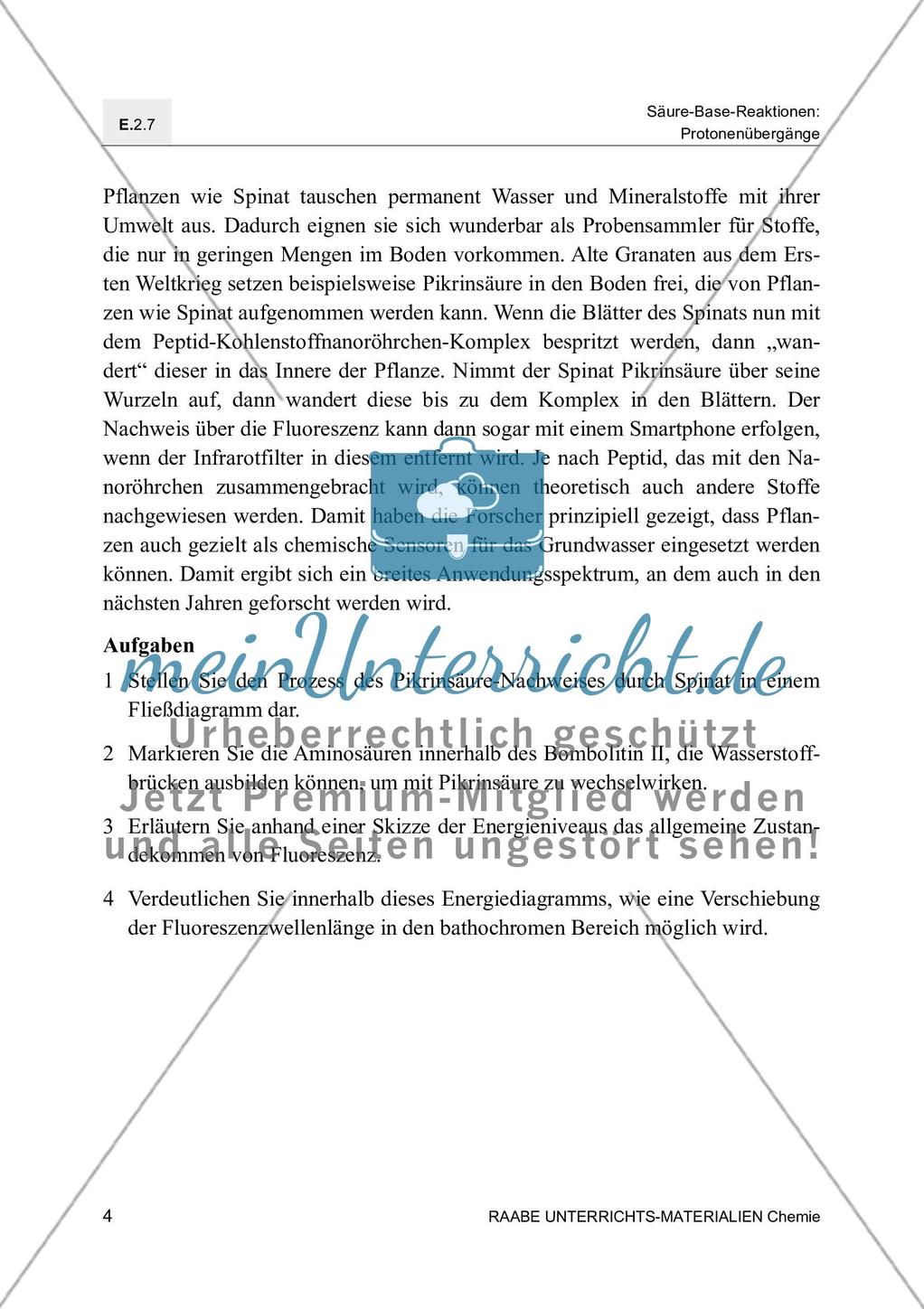 Die Chemie der Nanobionik Spinat spürt Sprengstoff auf - Mit Lösungsfolie Preview 8