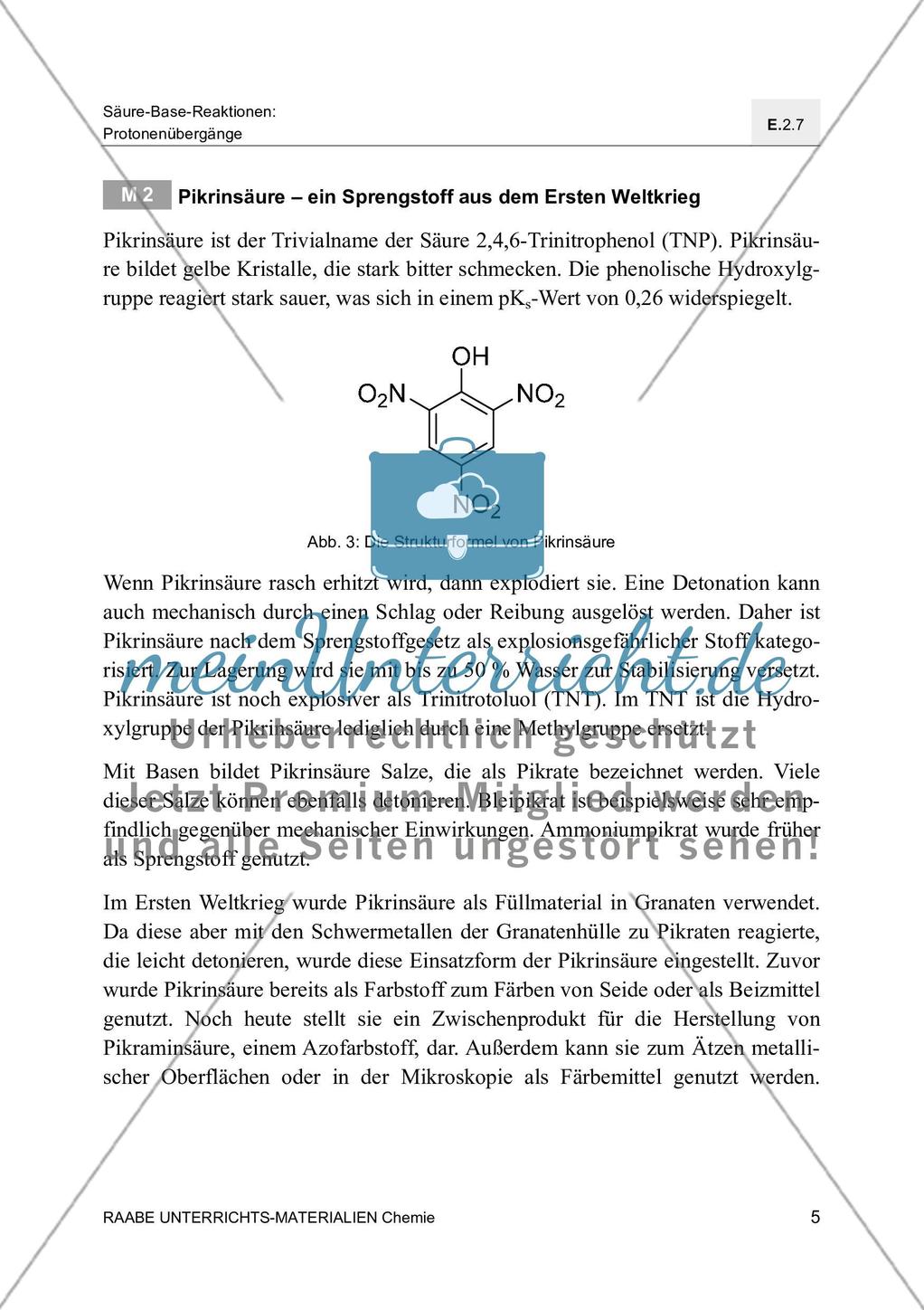 Die Chemie der Nanobionik Spinat spürt Sprengstoff auf - Mit Lösungsfolie Preview 9