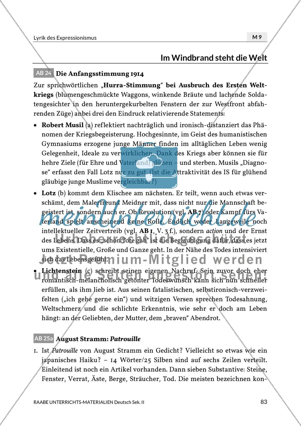 Lösungen zu Erster Weltkrieg Preview 1