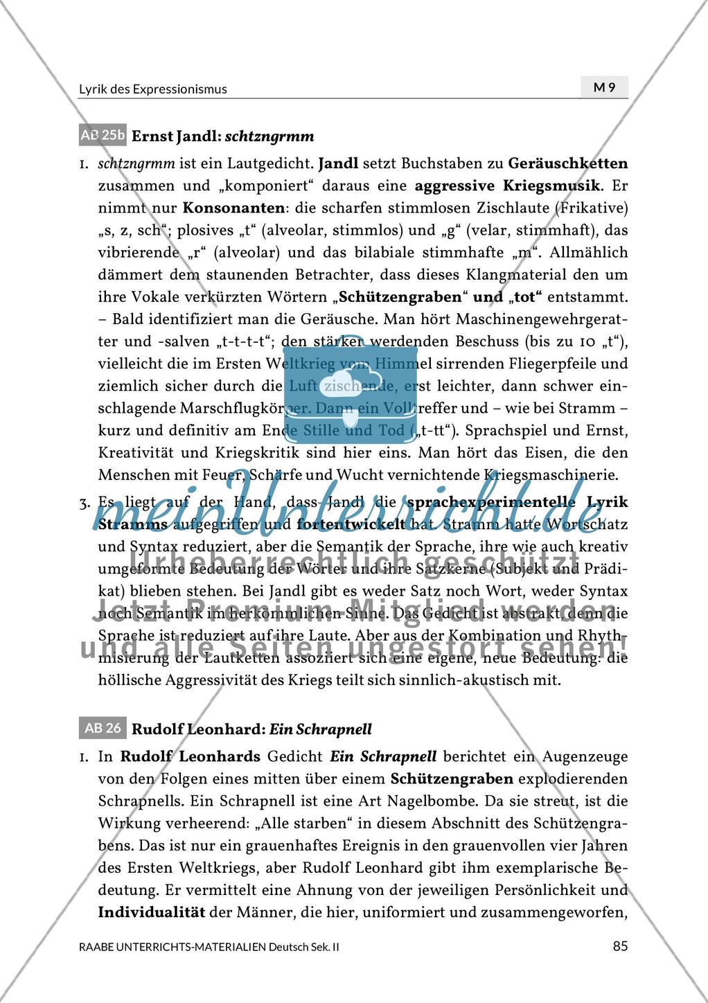 Lösungen zu Erster Weltkrieg Preview 3
