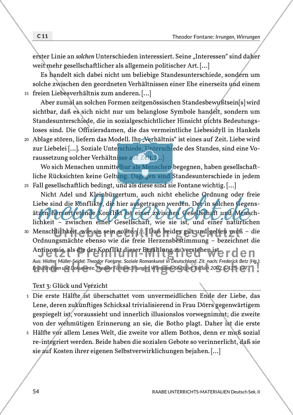 Theodor Fontane: Irrungen, Wirrungen - Interpretation und Modernität Preview 7
