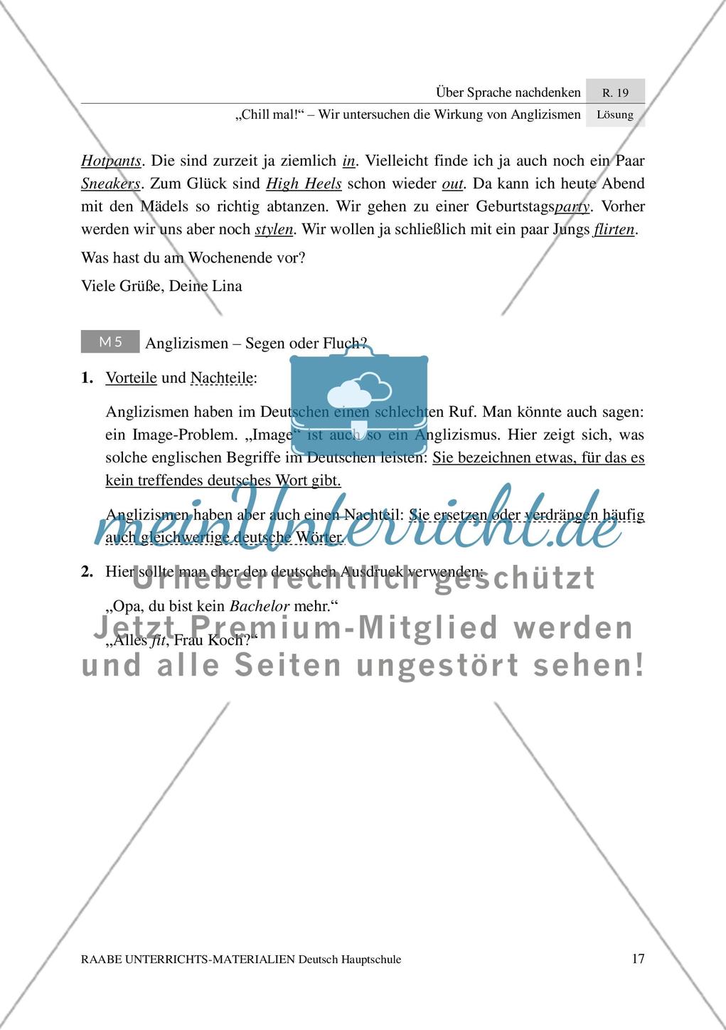 Bewertung von Anglizismen und Lösungsvorschläge Preview 4
