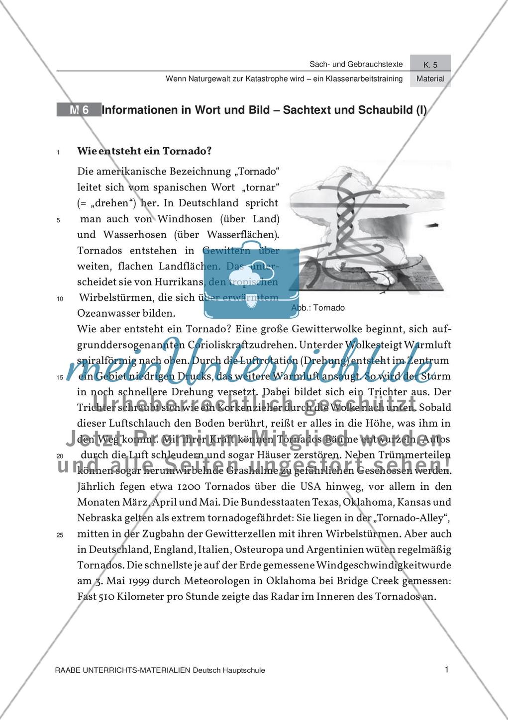 Analyse von Schaubildern zum Thema Naturkatastrophen Preview 3