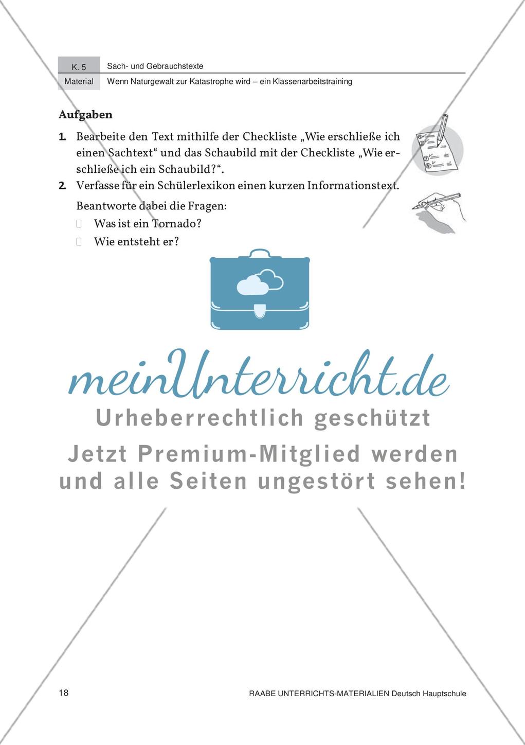 Analyse von Schaubildern zum Thema Naturkatastrophen Preview 4