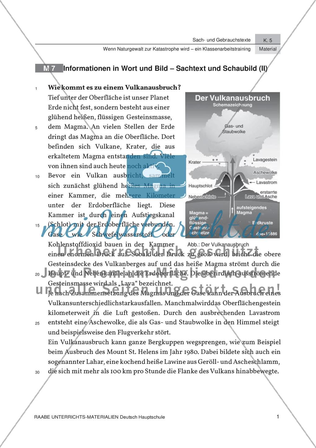Analyse von Schaubildern zum Thema Naturkatastrophen Preview 5