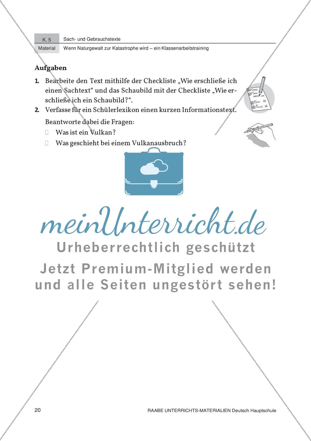 Analyse von Schaubildern zum Thema Naturkatastrophen Preview 6