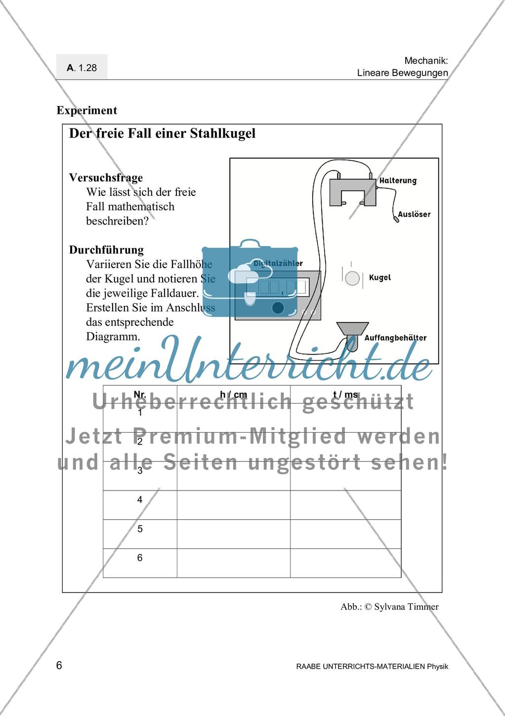 Freier Fall einer Stahlkugel Preview 8