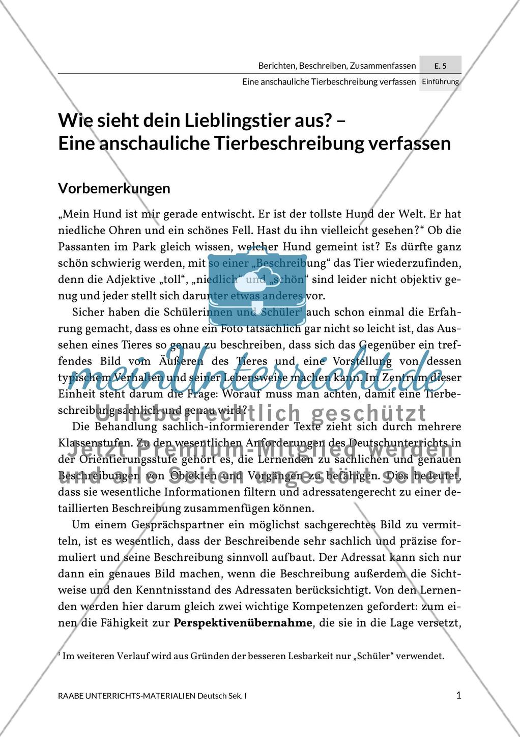 Einführung Preview 5