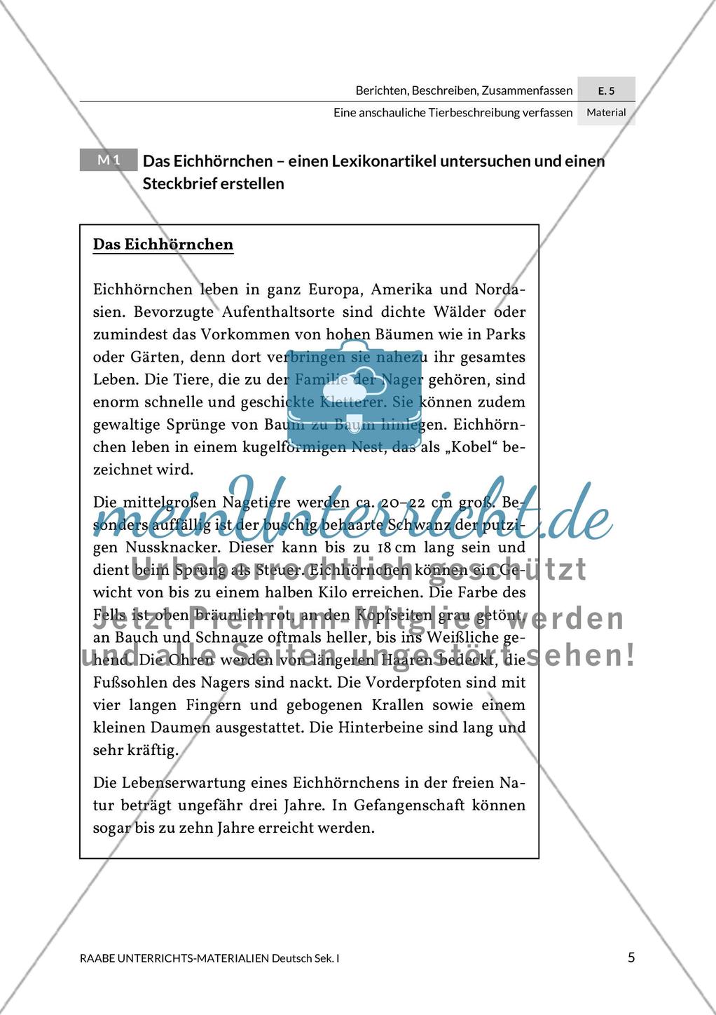 Steckbrief und Gehegeschild für Eichhörnchen und Koala Preview 1