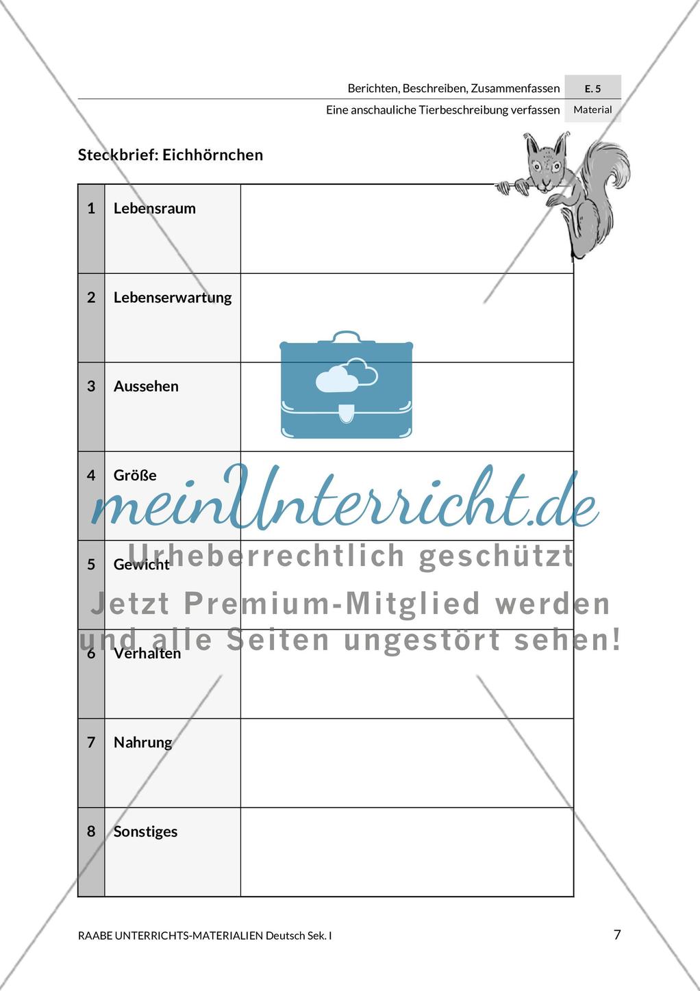 Steckbrief und Gehegeschild für Eichhörnchen und Koala Preview 3