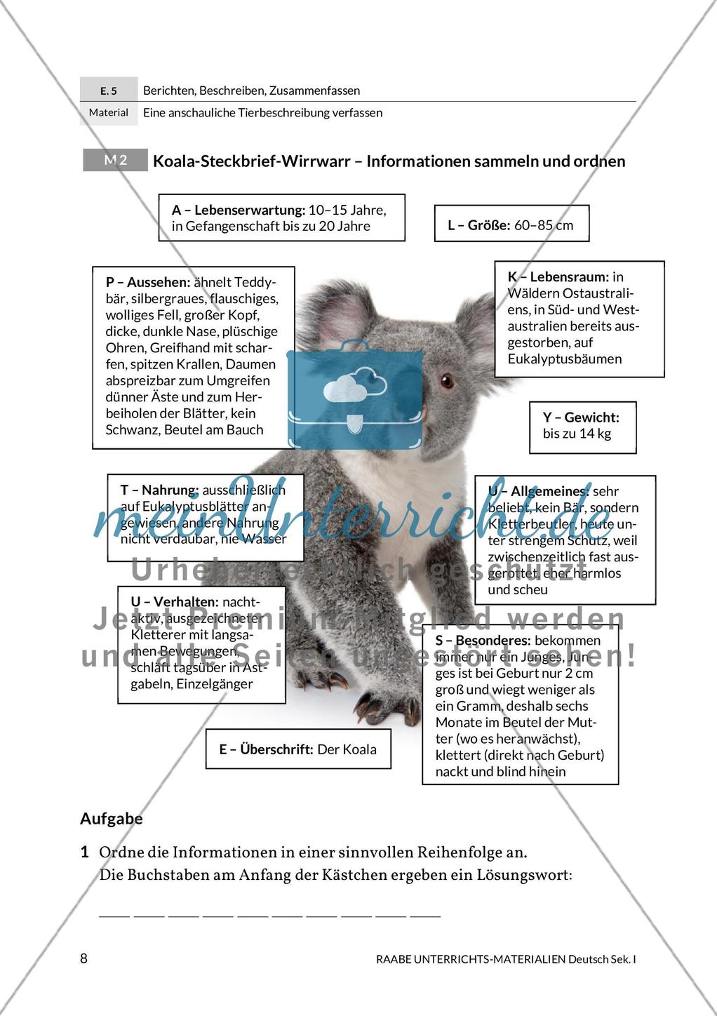 Steckbrief und Gehegeschild für Eichhörnchen und Koala Preview 4