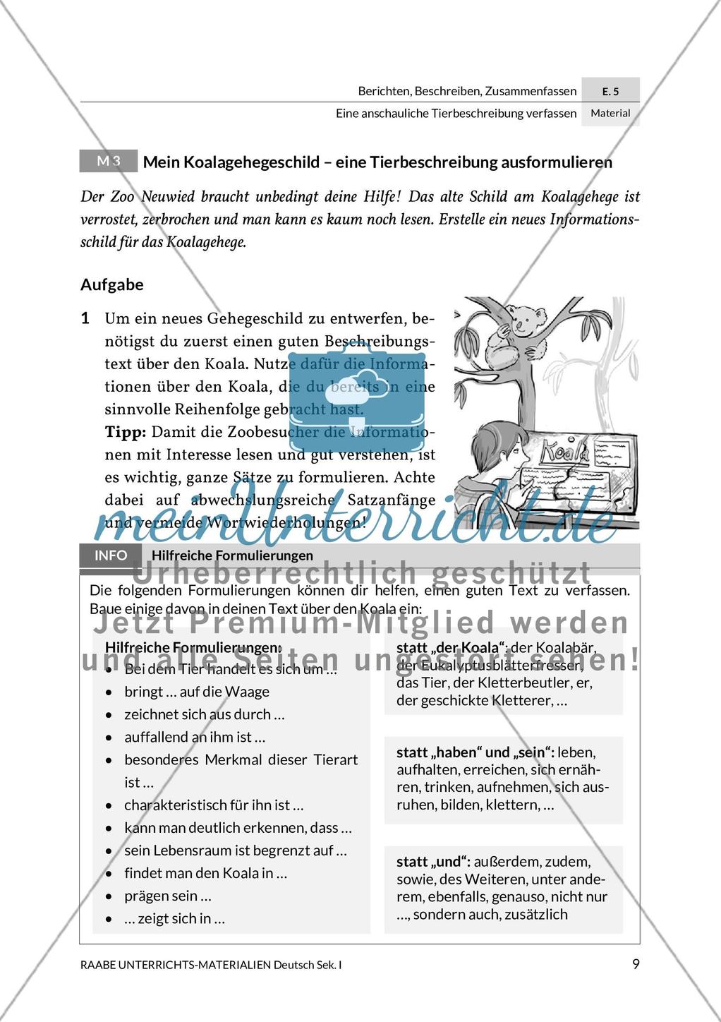 Steckbrief und Gehegeschild für Eichhörnchen und Koala Preview 5
