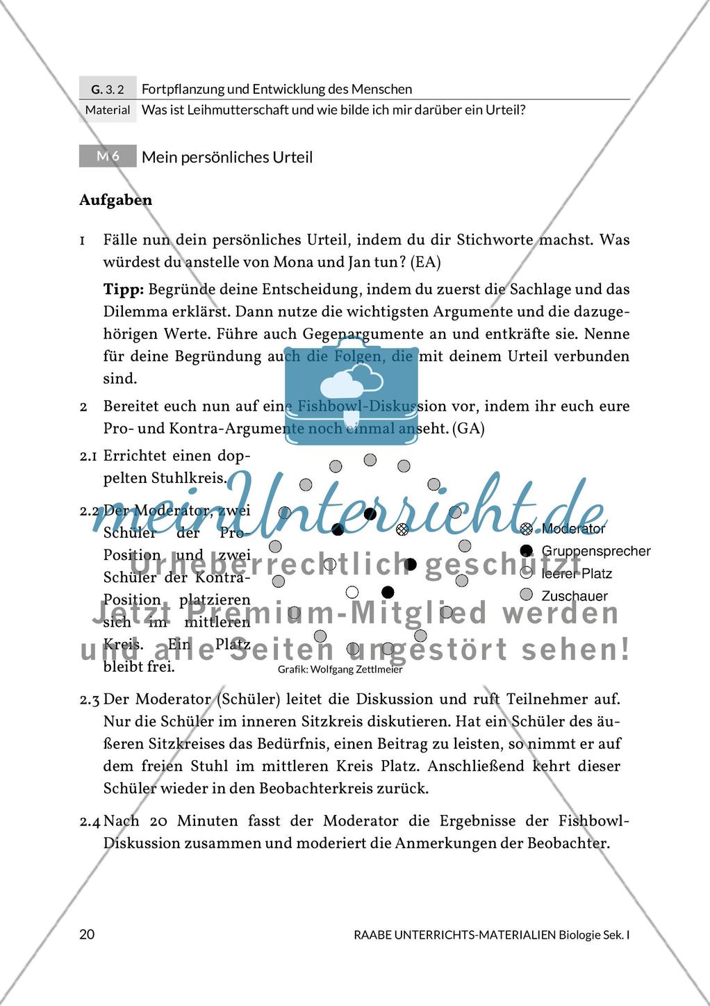 Leihmutterschaft: Meinung bilden Preview 18