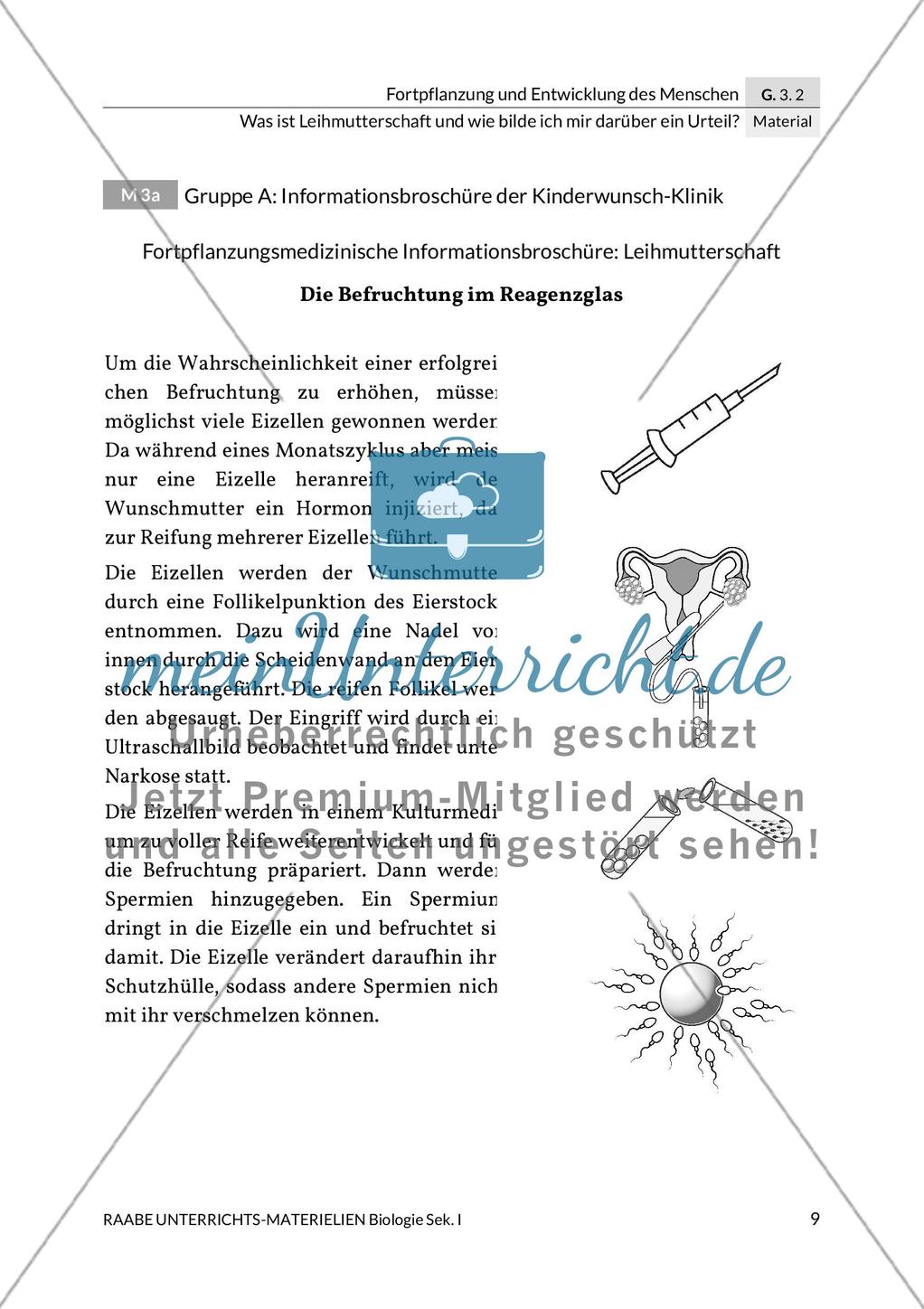 Leihmutterschaft: Meinung bilden Preview 7