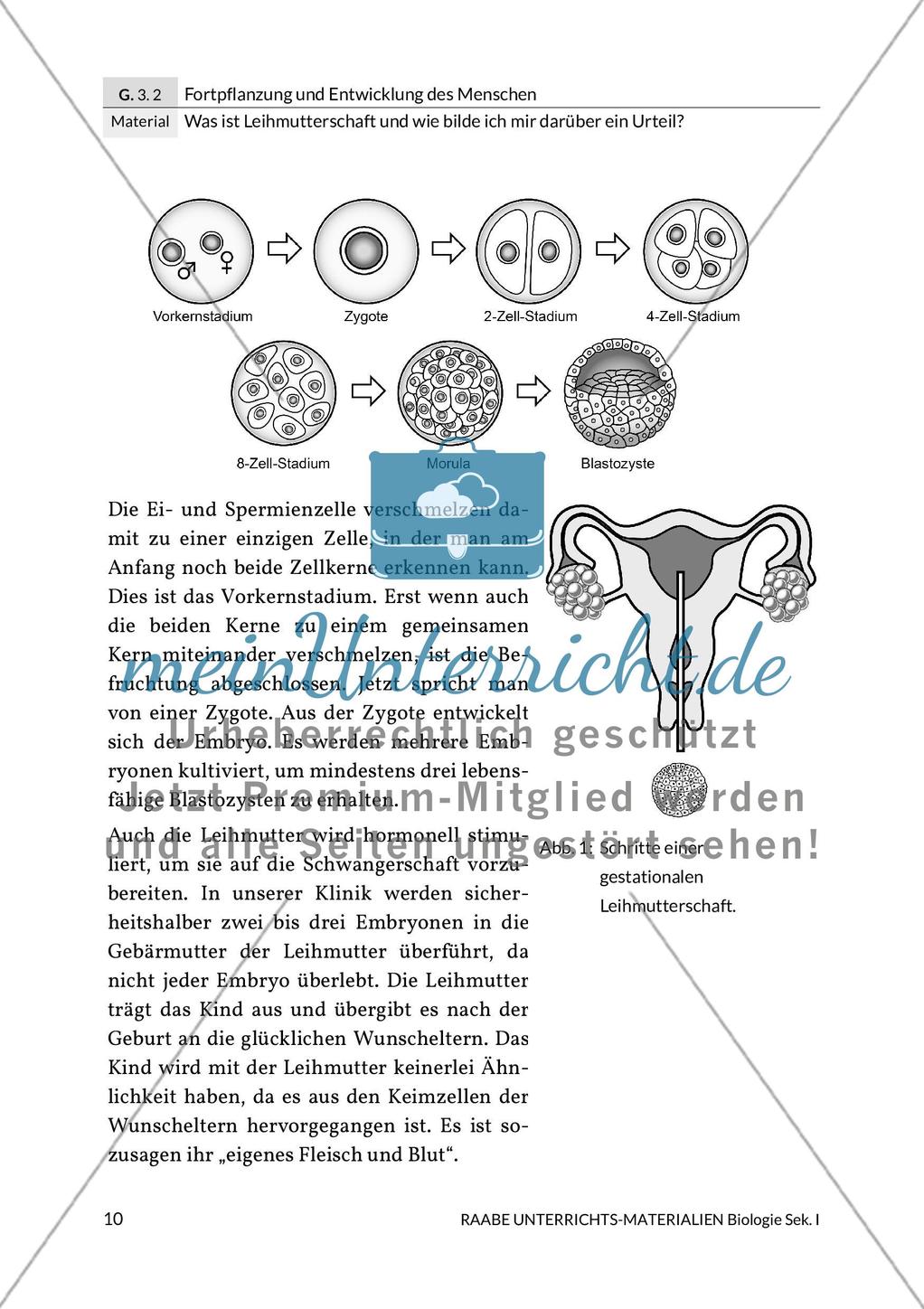 Leihmutterschaft: Meinung bilden Preview 8
