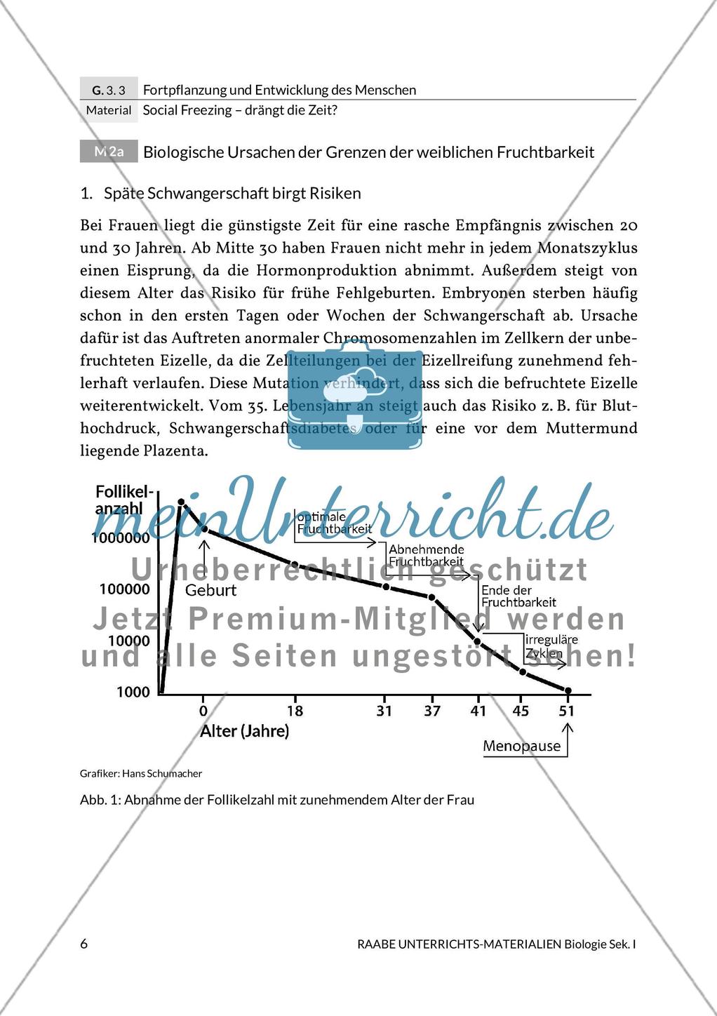 Social Freezing: Grenzen weiblicher Befruchtung Preview 4