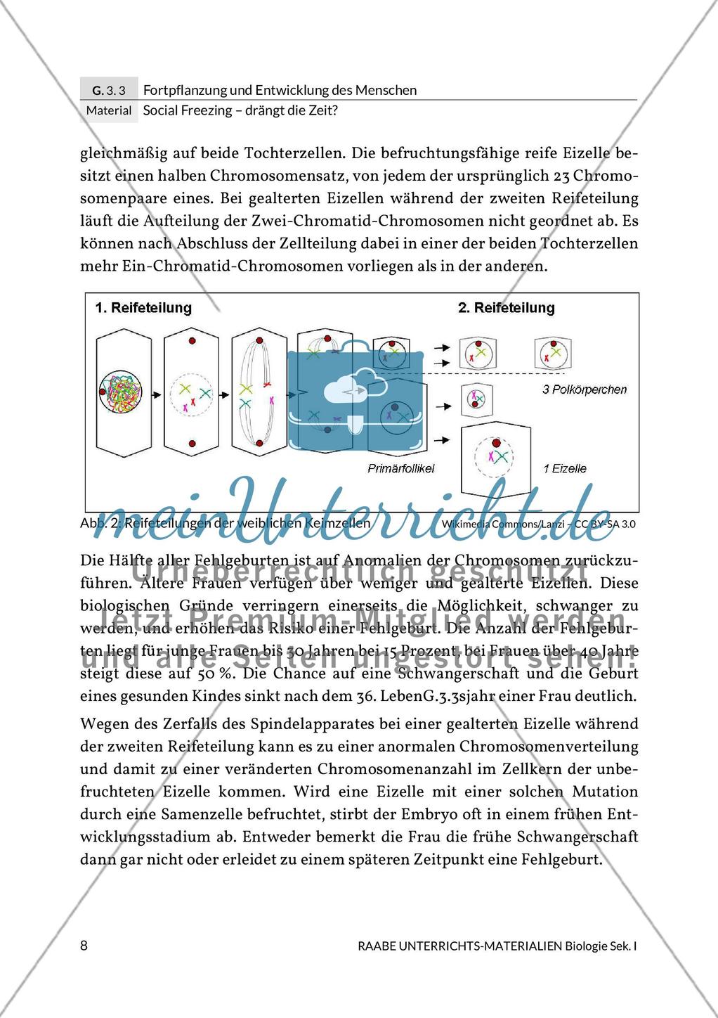 Social Freezing: Grenzen weiblicher Befruchtung Preview 6