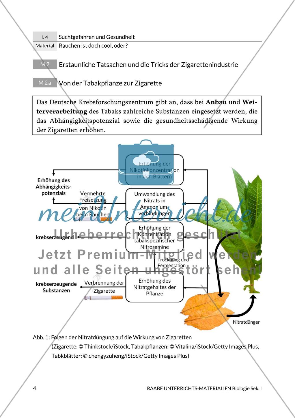 Die Wirkung der Zusatzstoffe und die Ziele der Tabakindustrie Preview 2