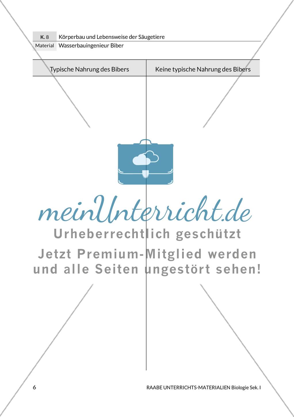 Wasserbauingenieur Biber Preview 10