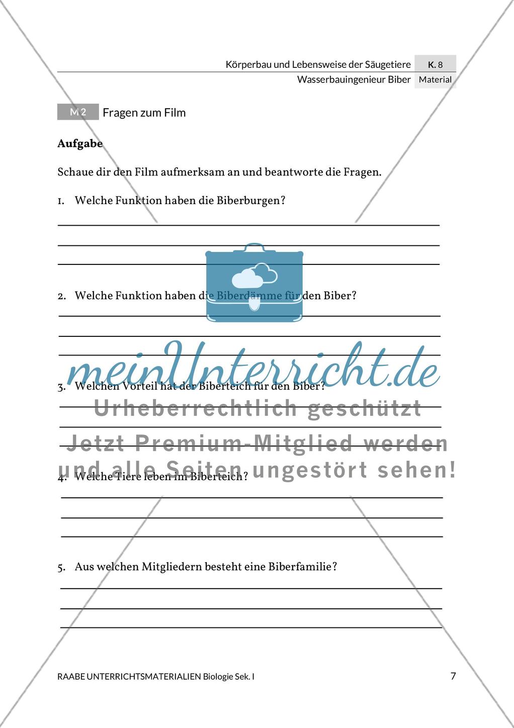 Wasserbauingenieur Biber Preview 11
