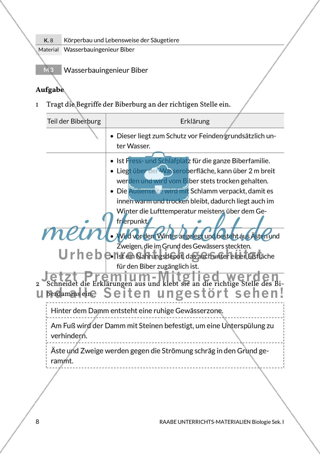 Wasserbauingenieur Biber Preview 12