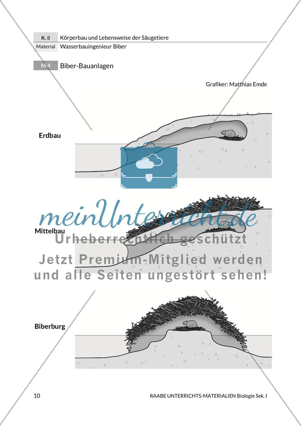 Wasserbauingenieur Biber Preview 14