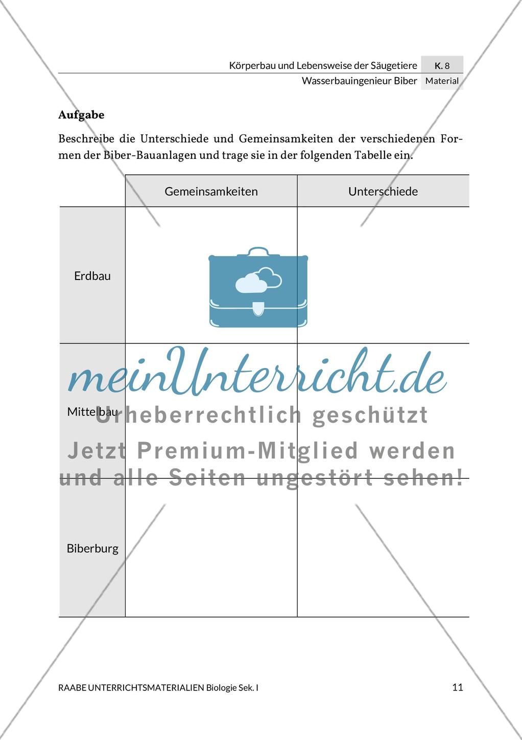 Wasserbauingenieur Biber Preview 15