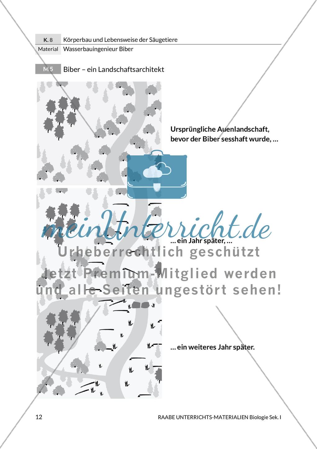 Wasserbauingenieur Biber Preview 16