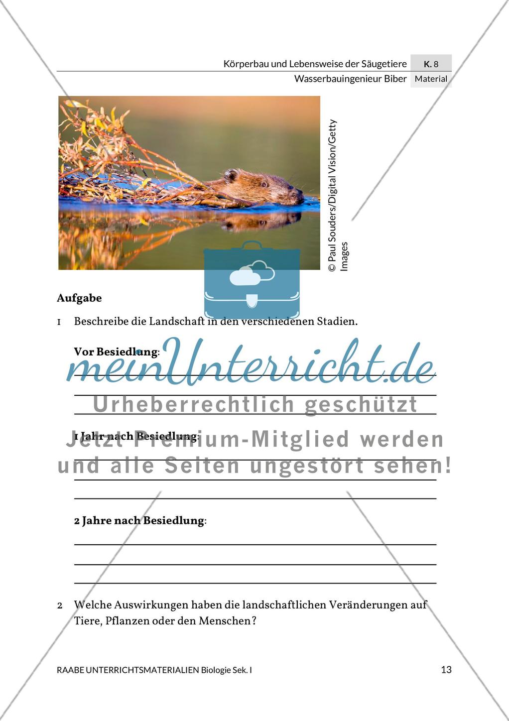 Wasserbauingenieur Biber Preview 17