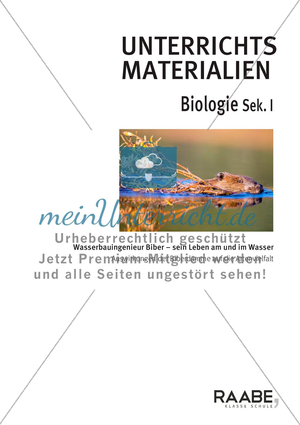 Wasserbauingenieur Biber Preview 1