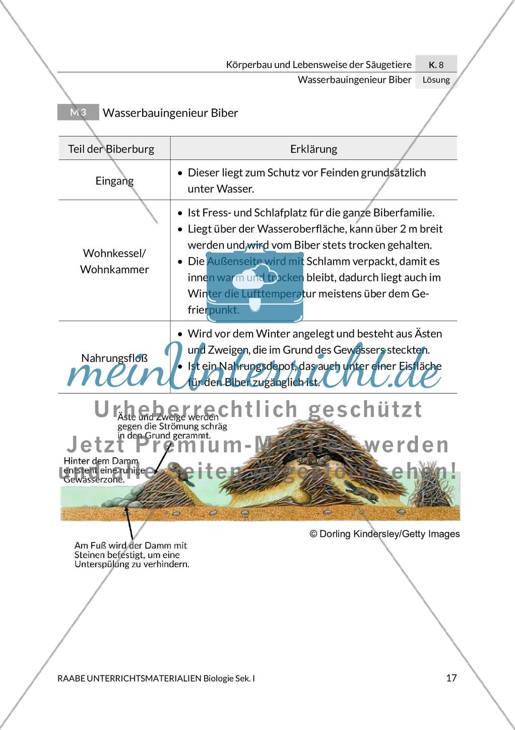 Wasserbauingenieur Biber Preview 21