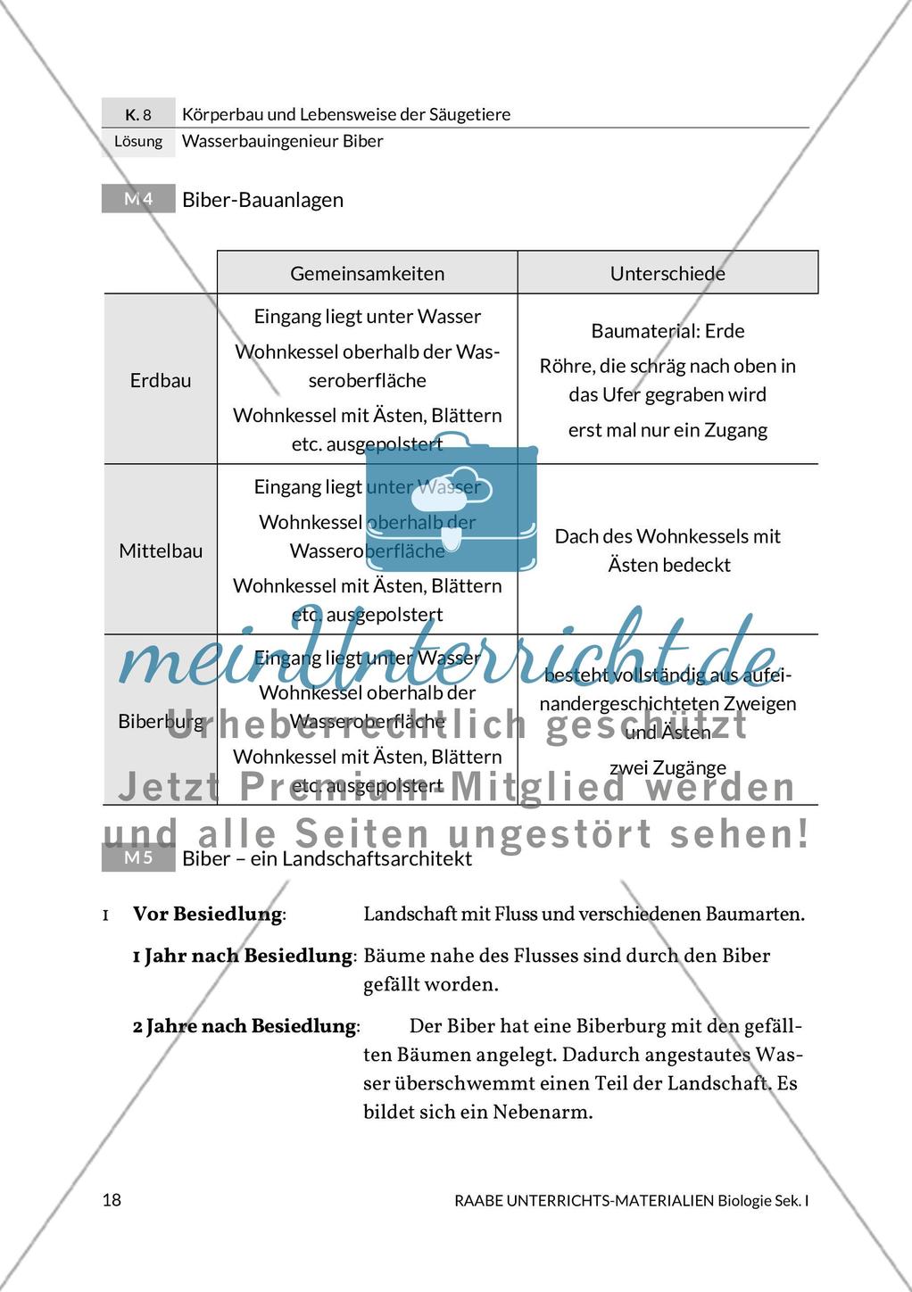 Wasserbauingenieur Biber Preview 22