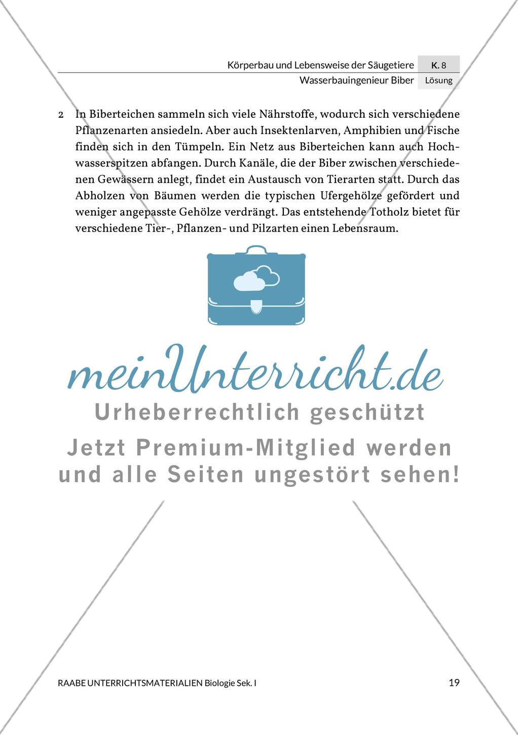 Wasserbauingenieur Biber Preview 23