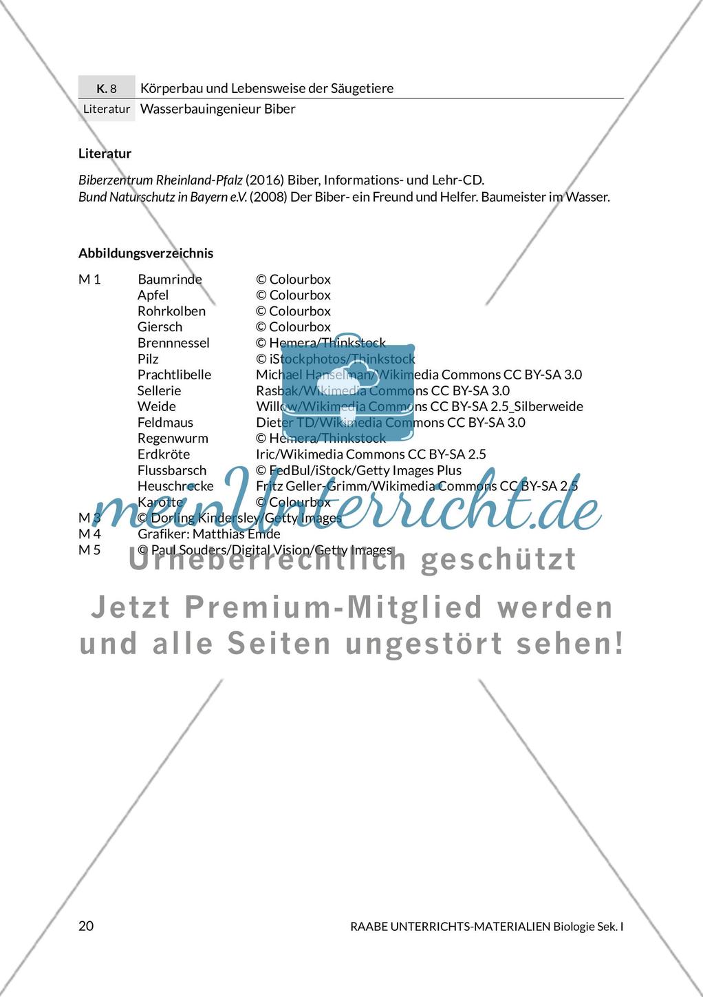 Wasserbauingenieur Biber Preview 24