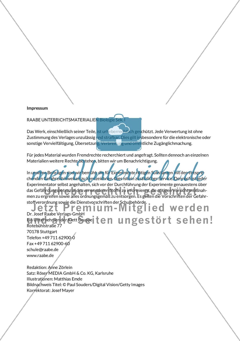 Wasserbauingenieur Biber Preview 2