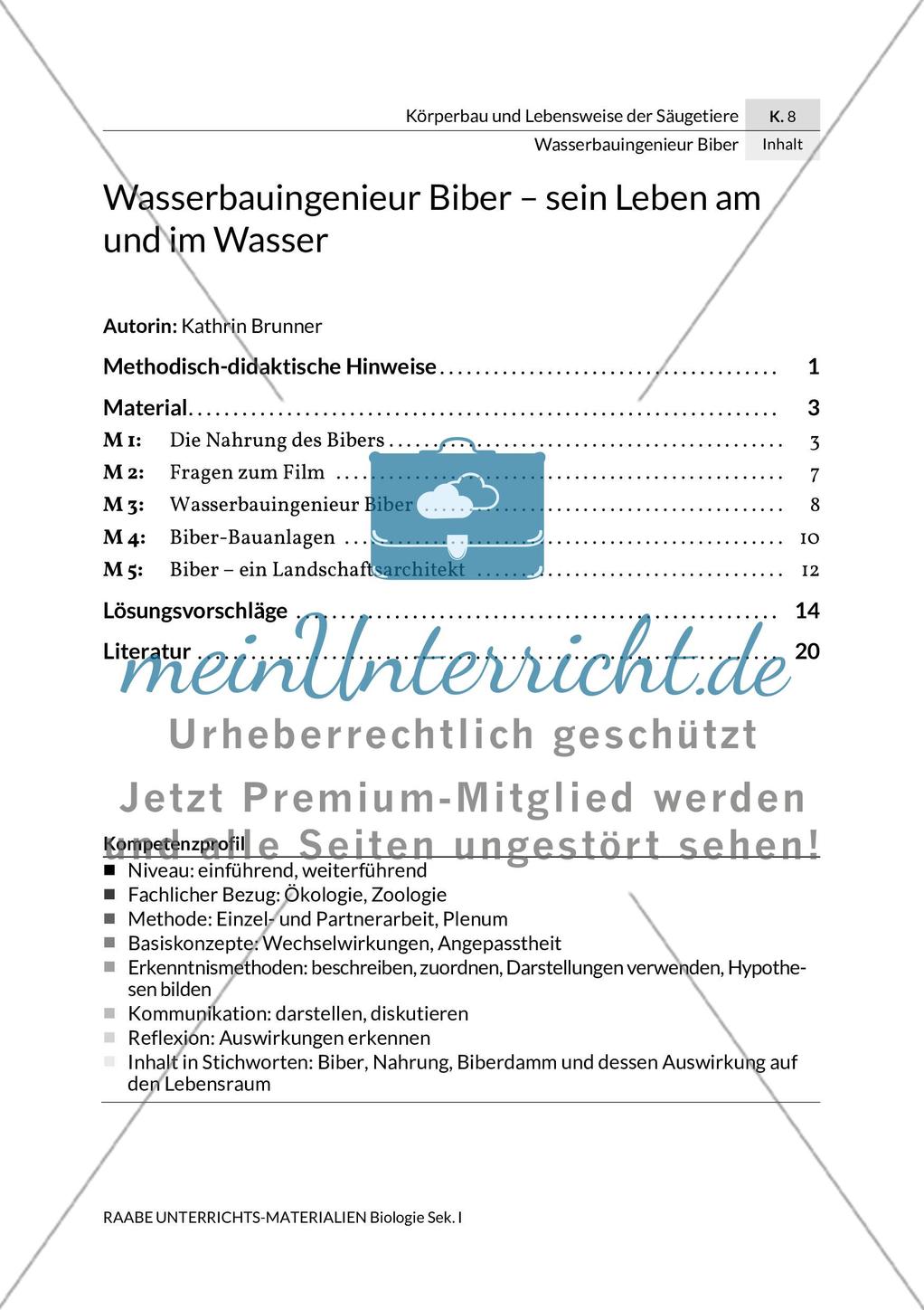 Wasserbauingenieur Biber Preview 3