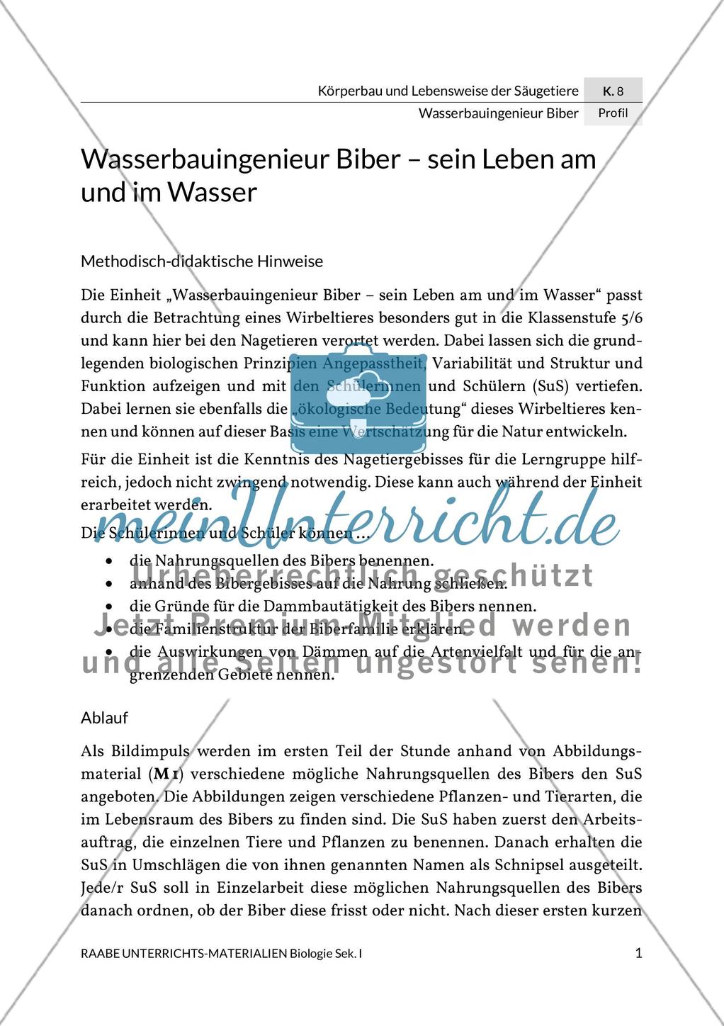 Wasserbauingenieur Biber Preview 5