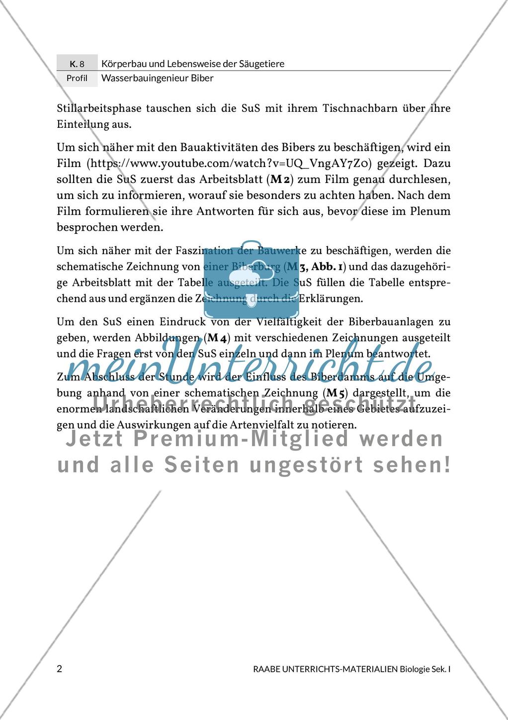 Wasserbauingenieur Biber Preview 6
