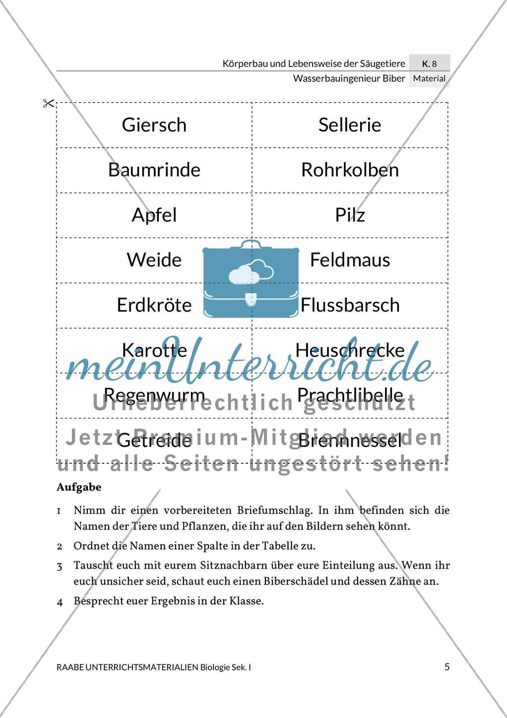 Wasserbauingenieur Biber Preview 9