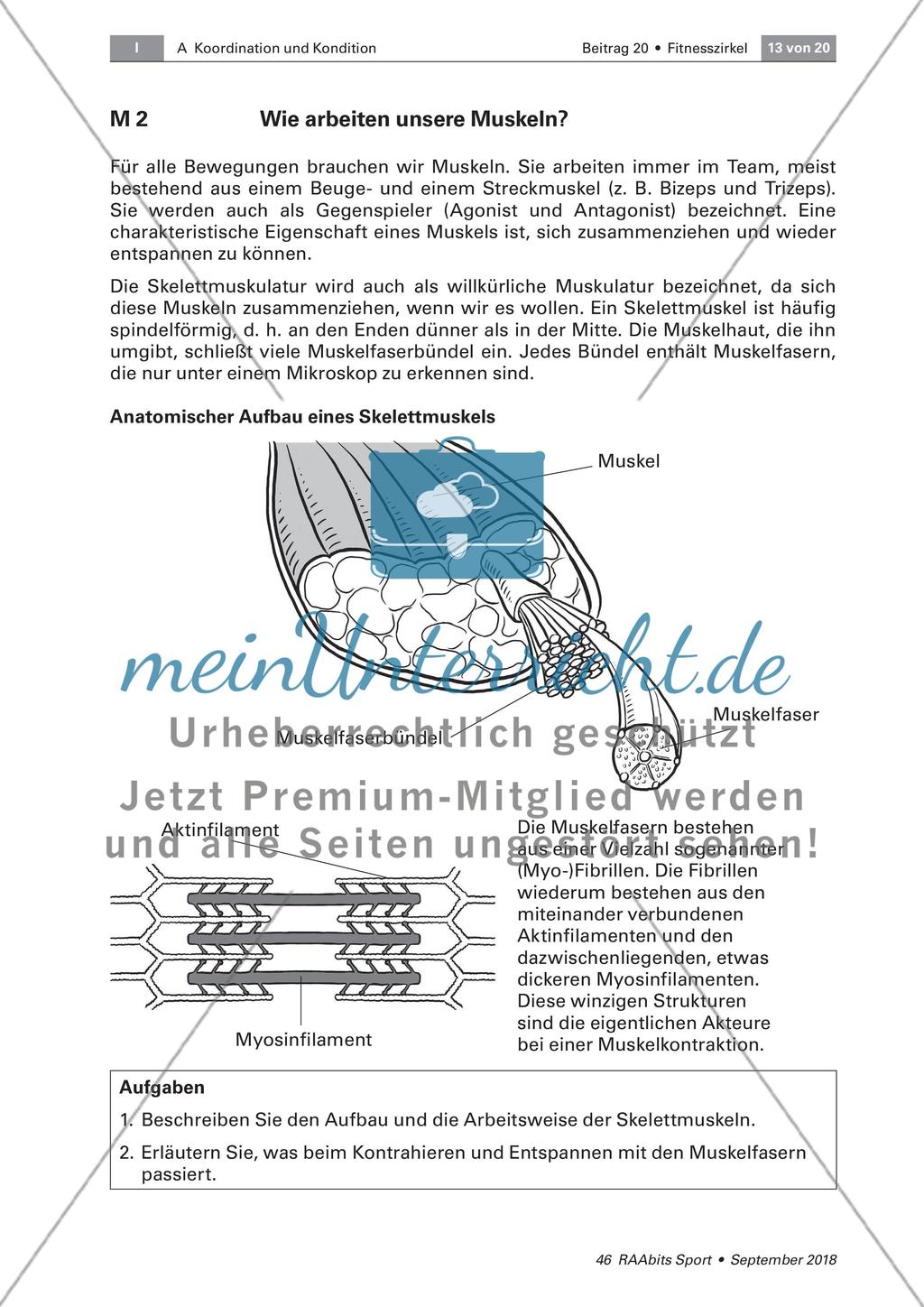 Krafttraining Preview 2