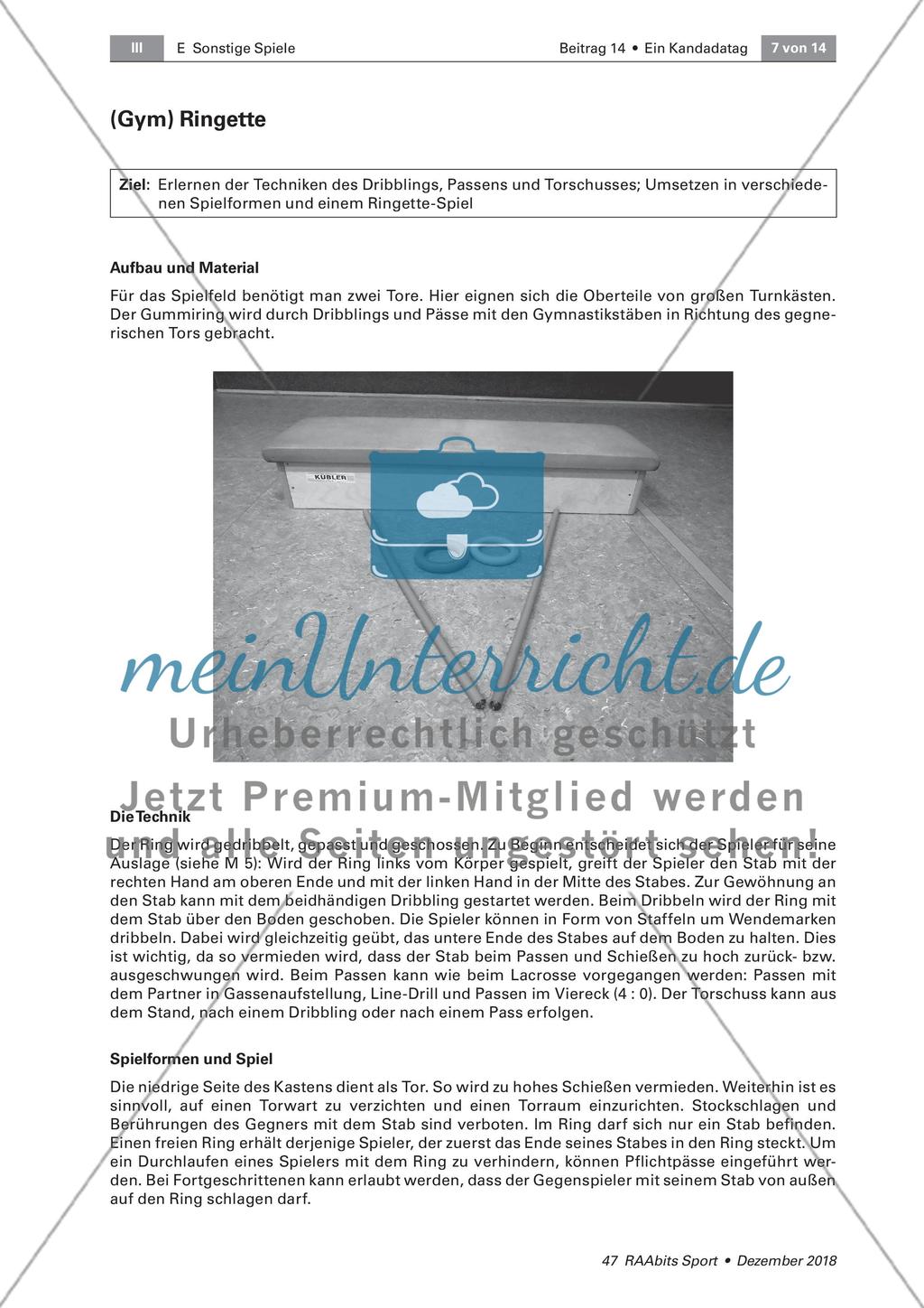 Kanadische Sporterfindungen: Lacrosse, Basketball, Bowling, Ringette Preview 7