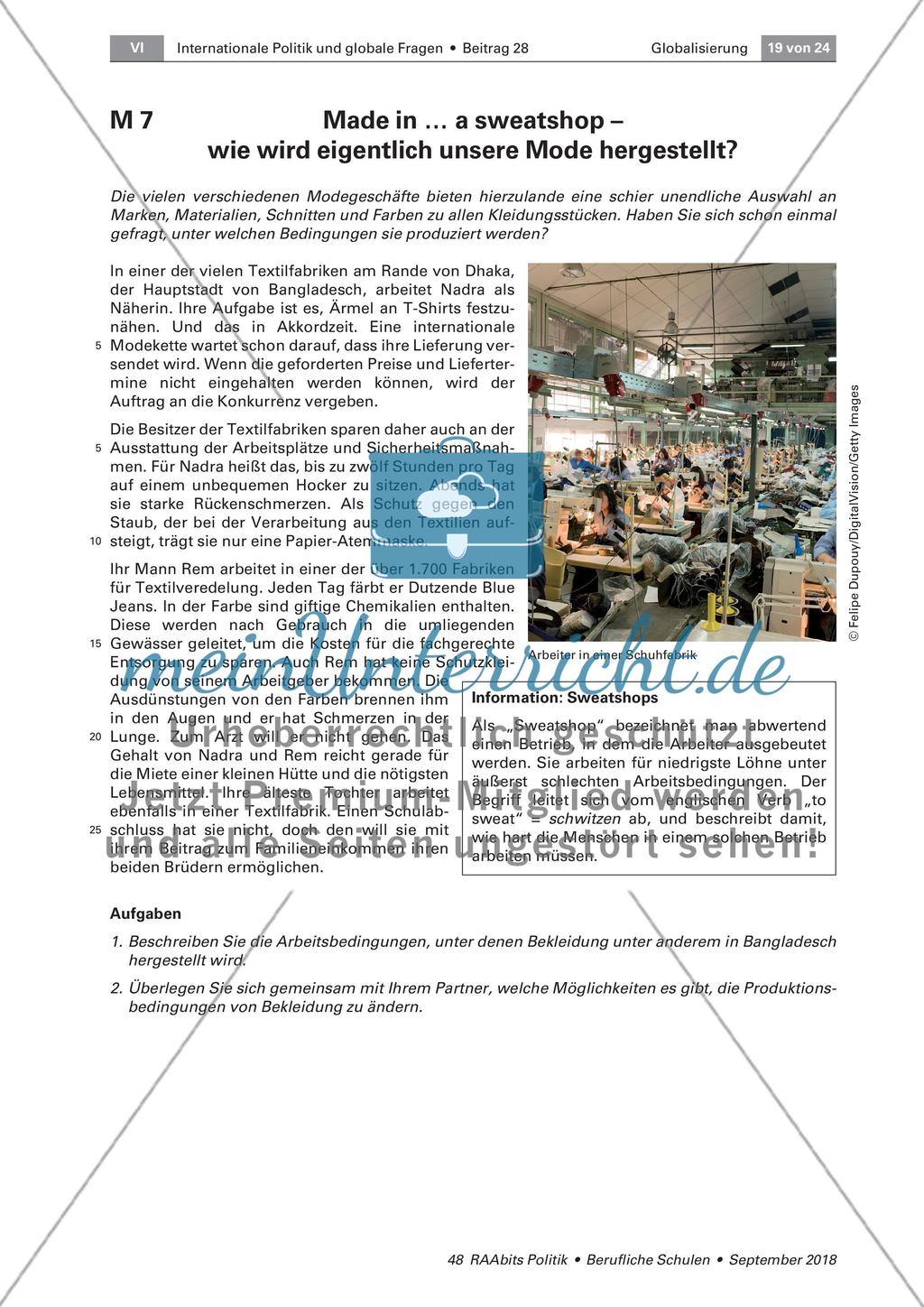 Wirtschaft, Politik und Arbeitsbedingungen in einer globalisierten Welt Preview 6